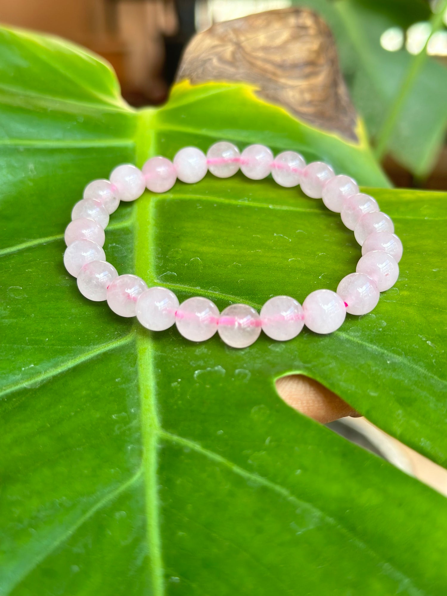 Rose Quartz: The Stone of Unconditional Love and Compassion